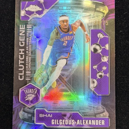 Shai Gilgeous - Alexander / NBA / Oklahoma City Thunder