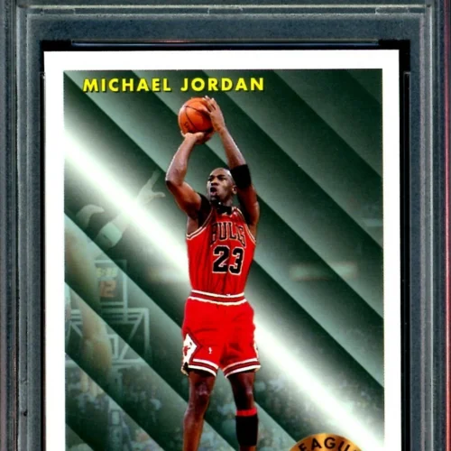 Michael Jordan Trading Card: Fleer  1990-91