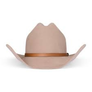 cowboy-hat-b.webp