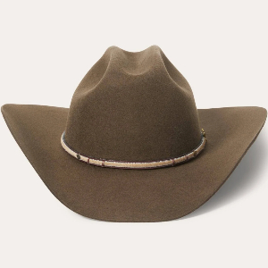 steson-hat-bttnyr.webp