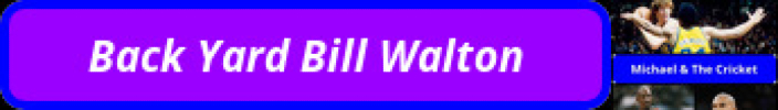 back-yard-bill-flag-final-700x