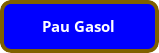 button_pau-gasol