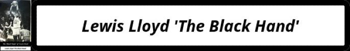 lloyd-flag-690x-100x
