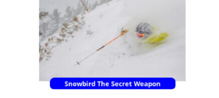 snowbird-flag-550x-250x-final (1)