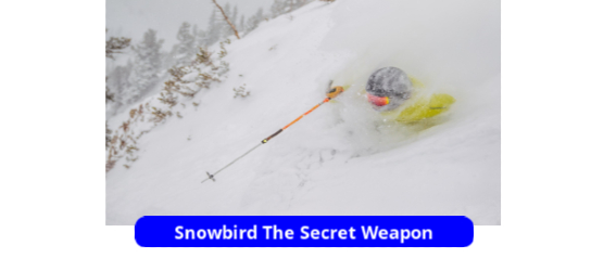 snowbird-flag-550x-250x-final (1)