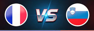 slov-france-pin300x
