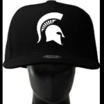 michiganstatenoggin